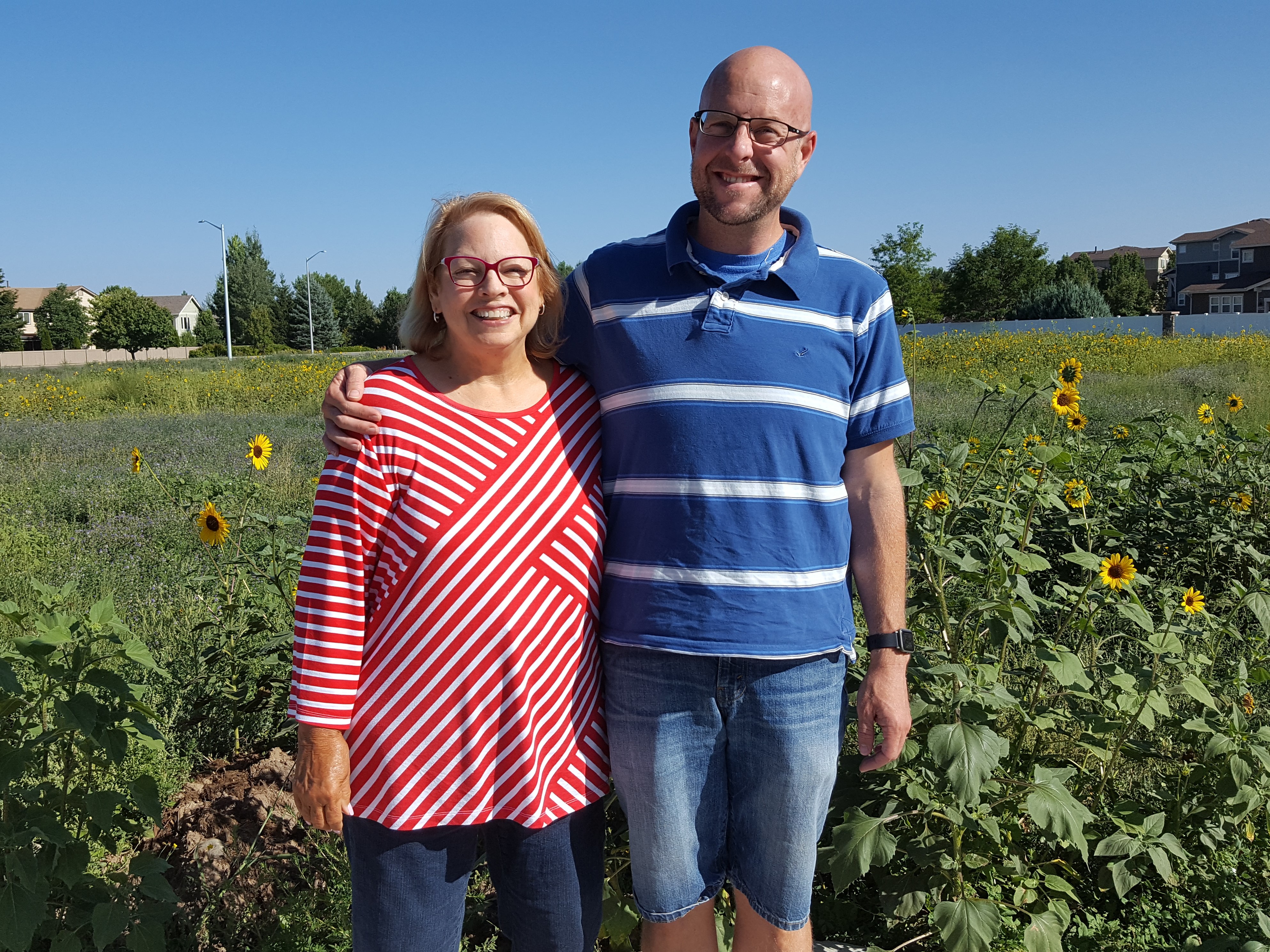 Sunflowers Pic
